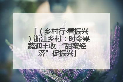 （乡村行·看振兴）浙江乡村：时令果蔬迎丰收 “甜蜜经济”促振兴
